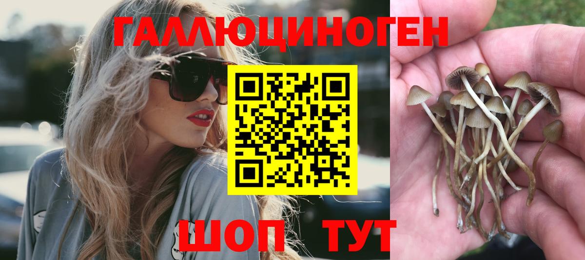 Галлюциногенные грибы мицелий  Вход с VPN  Котлас  Галлюциногенные грибы ЛСД 